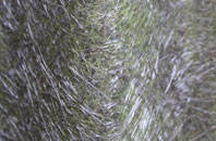 Bettws fibreglass roof work